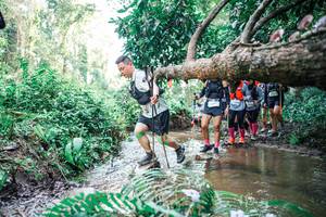 BIB: 
                            <button type="button" onclick="openModal(25475871)" class="btn btn-primary btn-sm float-right btn-popup" data-toggle="modal" data-target=".modal-high-quality">
                        <i class="fas fa-shopping-cart"></i> Add to Cart
                    </button>
                                            <button type="button" onclick="isThisMe(25475871, true)" class="btn btn-success btn-sm float-right btn-popup btn-isme hidden" data-toggle="tooltip" data-placement="bottom" title="นี่คือรูปของคุณใช่ไหม คลิกที่นี่เพื่อเอาเข้าอัลบั้ม">
                        <i class="fas fa-plus"></i> Add to album
                    </button>
                    <button type="button" onclick="isThisMe(25475871, false)" class="btn btn-warning btn-sm float-right btn-popup btn-isnotme hidden">
                        <i class="fas fa-ban"></i> Remove from album
                    </button>